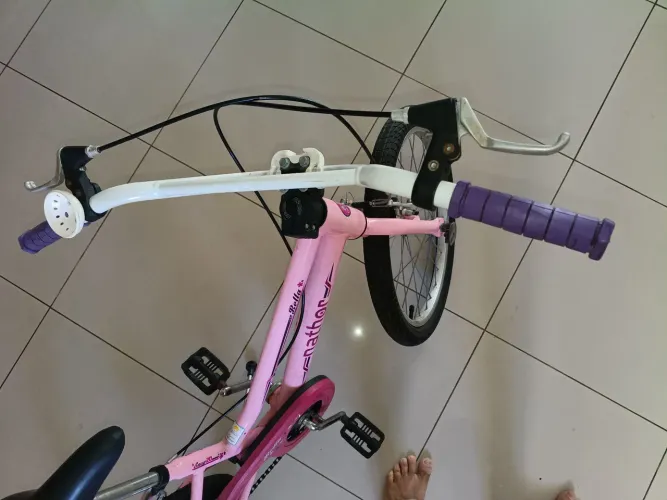 bicicleta nathor