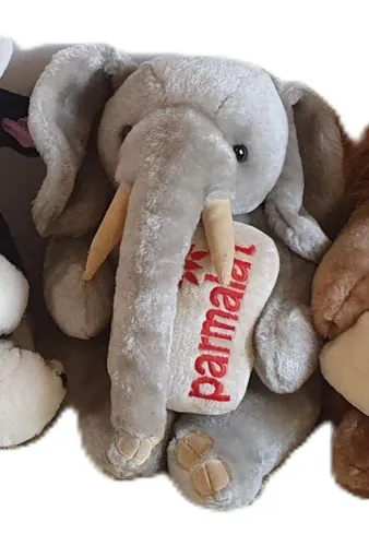 Mamíferos Parmalat: Elefante