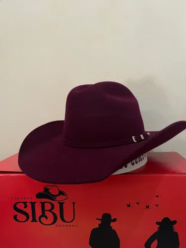 Chapeu Feltro 30x Ametista Coleçao Jeito de Cowboy Sibu Company
