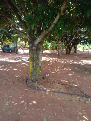 Chácara a venda 