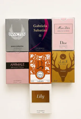 Perfumes importados 100ml