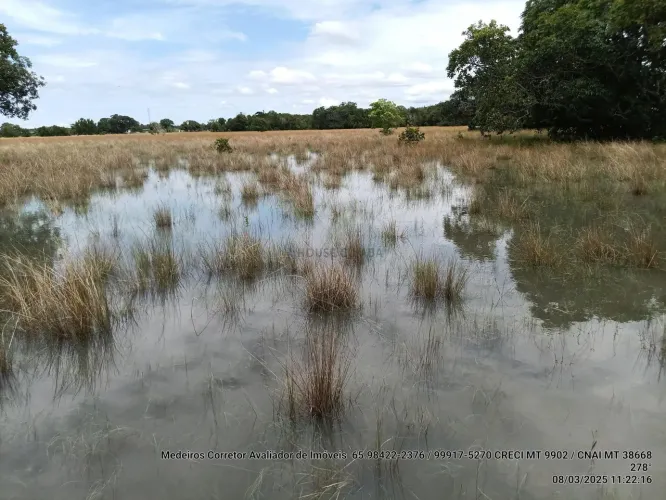 Àrea para reserva preservada de 15 hectares na beira do rio parizinho