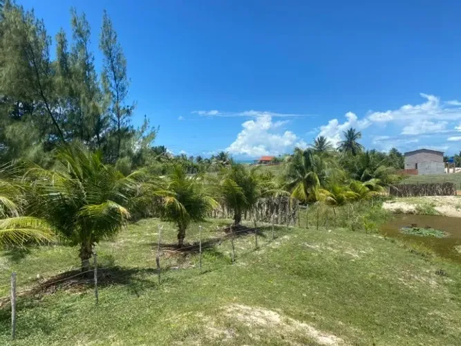 Terreno 1.250m2 Morro do Chapeu com Vista Mar - Taiba/CE