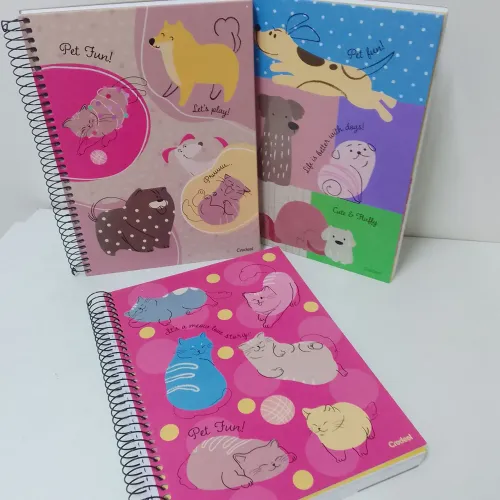 Kit com 3 cadernos 10 matérias