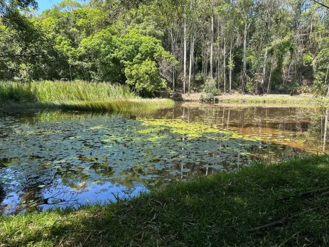 Excelente chácara de 20 mil metros com lago em Juquitiba