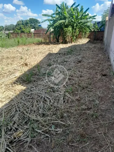 LOTE EM APARECIDA GOIANA codigo: 342680