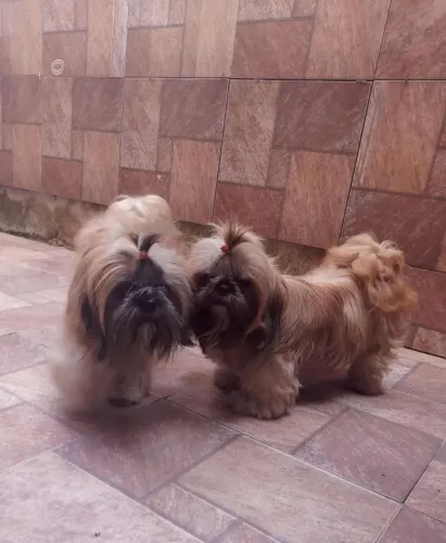Criança feliz