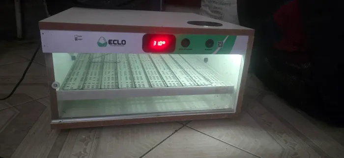 chocadeira eclo 90 ovos