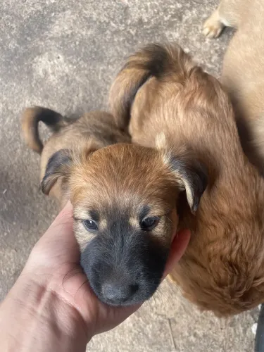 Doação