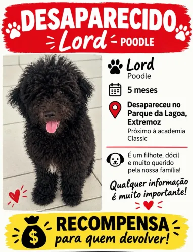 Desaparecido