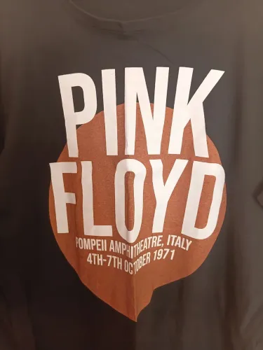 Blusa PINK FLOYD POMPÉIA. Manga comprida. Estampa em perfeito estado. Algo entre M e G.