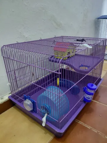 GAIOLA TWISTER RATO