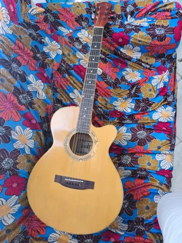 Violão aço Wolf elétrico