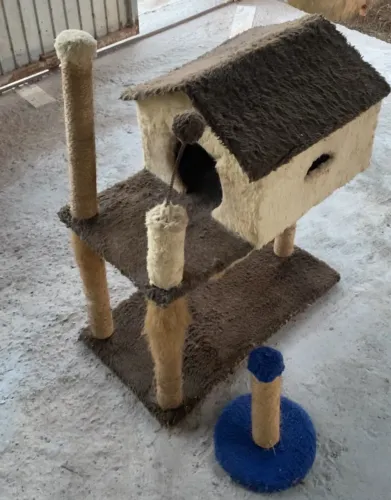 Casa para gatos 