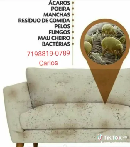 Higienizacão de estofados a seco