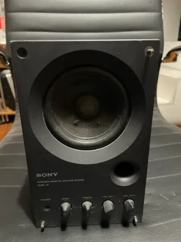 Caixa amplificada sony referência SMS 1P
