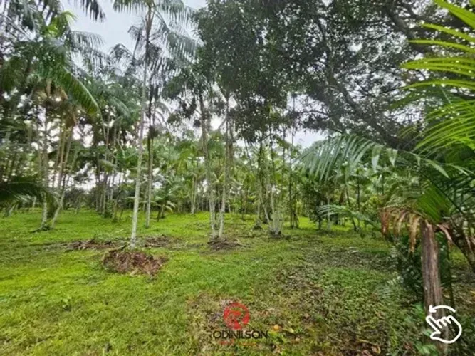 Fazenda/Sítio, Castanhal/PA,  250.000m², BR 316 KM 78, 600 pés de Açaí, nascente, plantaçõ