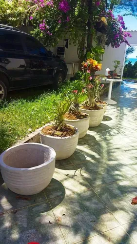 Vasos de planta de cimento 