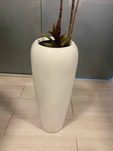 Vaso vietnamita com planta