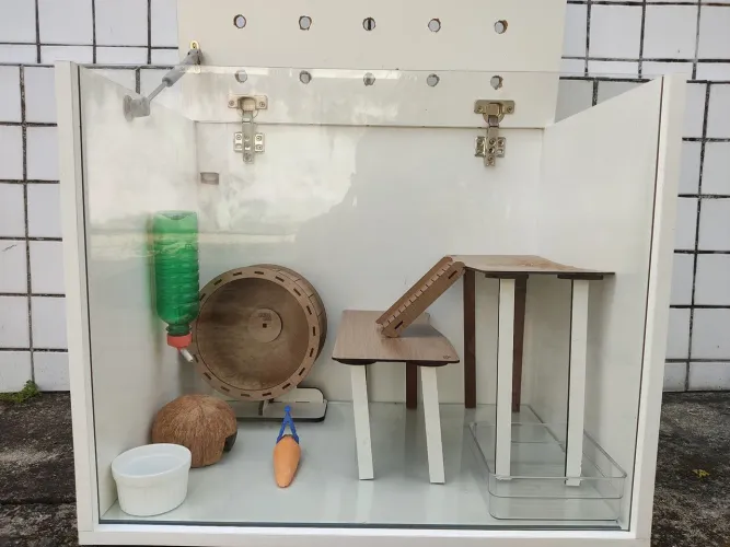 Terrário Para Hamster 