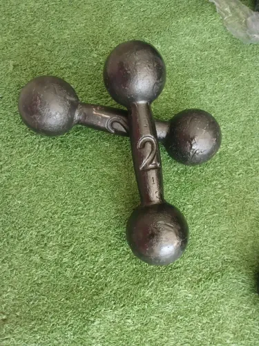 Halter pintado 2kg musculação e fisioterapia