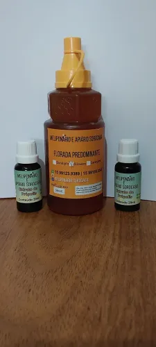 Mel puro de abelha  500 gramas 