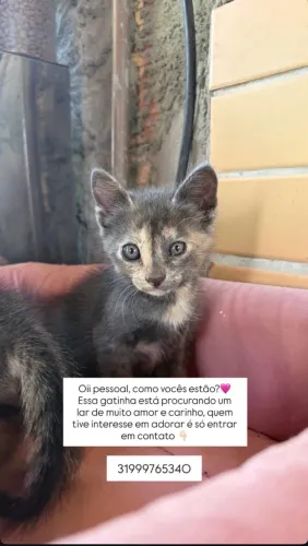Doação