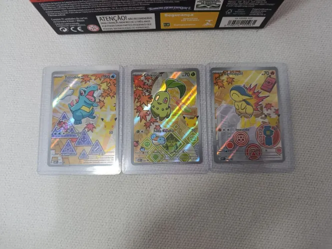 POKÉMON TCG PARCEIROS INICIAIS - JOHTO