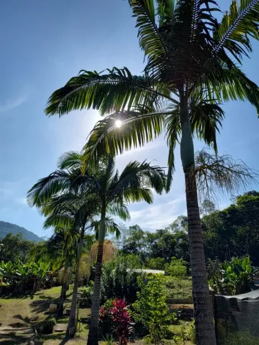 SÍTIO À VENDA EM MIRACATU/SP