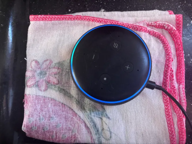 Alexa