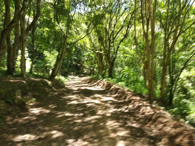 Vendo excelentes terrenos a partir de 200 m2