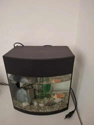 Aquário completo 15 litros