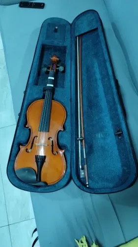 Violino Eagle VE441 4/4 - Regulado por Luthier Profissional | Excelente Estado