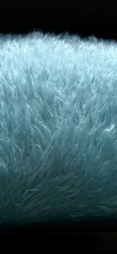 Cobertor Pierre Cardin Paraiba