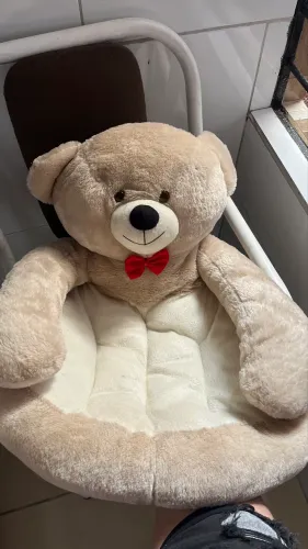 Cama Pet