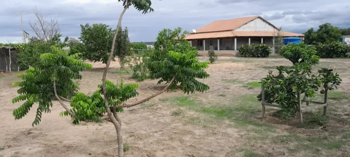 Sitio a venda. Pronto para morar.