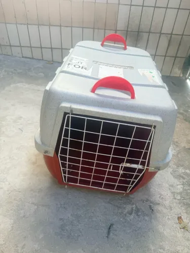 Caixa transporte cachorro