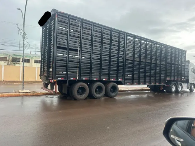 Carreta Vilaços boiadeira com pneus 