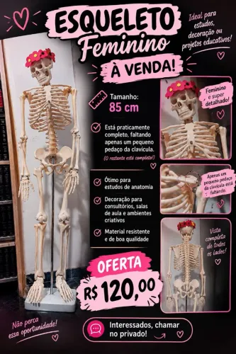 Esqueleto