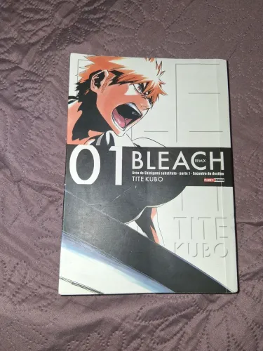 Bleach Vol. 1