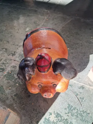 Cobrindo de gesso porquinho