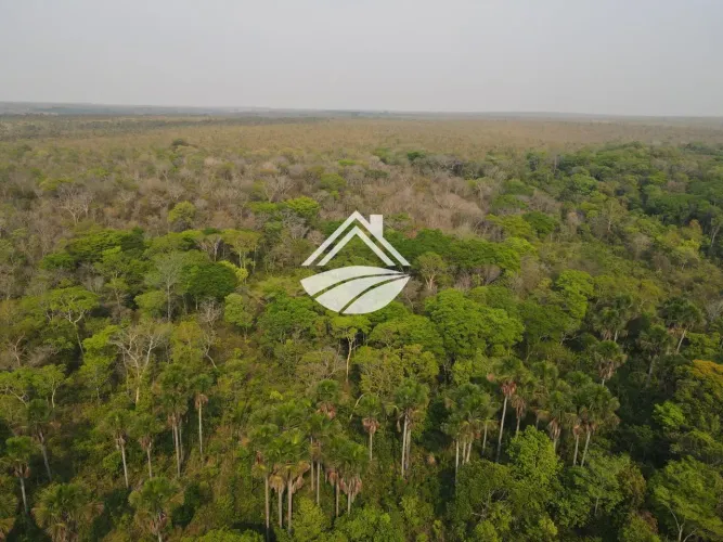 Fazenda para Venda em Lizarda