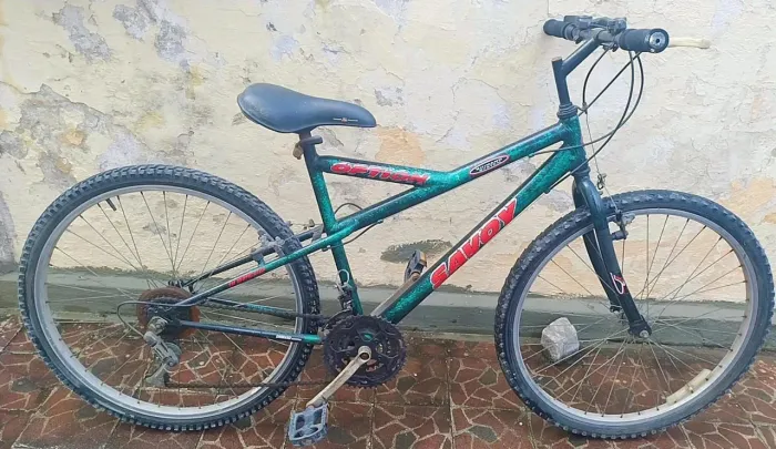 Bicicleta
