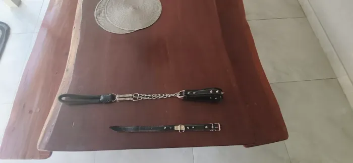 Guia de aço com molas