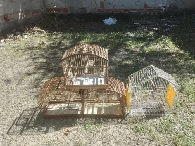 Vendo 4 gaiolas de pássaros usadas