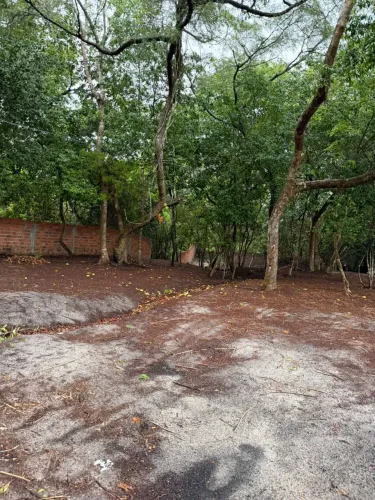 Terreno à venda no Rio Una - Morros/MA | Ideal para lazer ou investimento