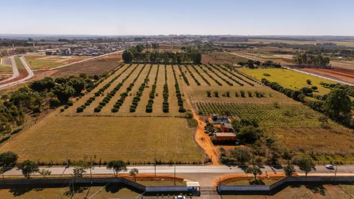 Área Estratégica no CAUB I | Ideal para Galpões, Indústrias e Logística