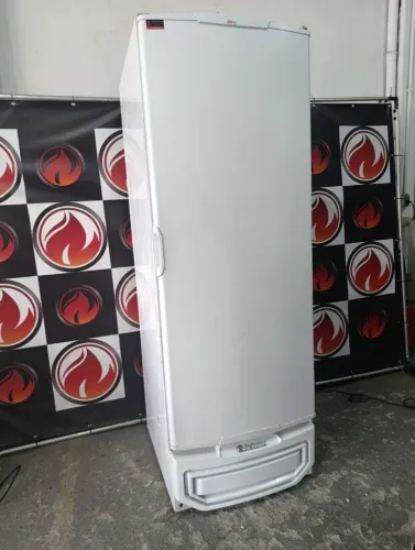 Freezer 70x80x2,00 vertical 1 porta cega marca Gelopar 577 L 220 v (usado)