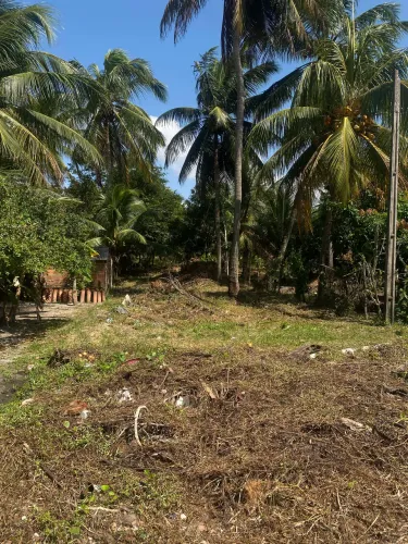 TERRENO A VENDA EM LAGOA DE PRAIA (BARRA DE MAMANGUAPE-PB)