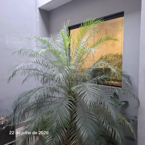 Sobrado com 5 dormitórios para alugar, 220 m² por R$ 9.572,15/mês - Jardim Anália Franco -